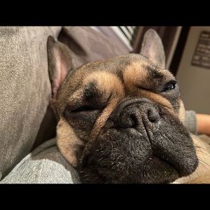 Meet your Posher, Leanne